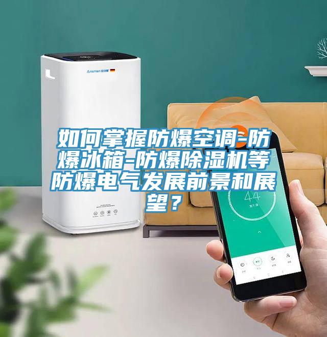 如何掌握防爆空调-防爆冰箱-防爆粉色应用黄色软件等防爆电气发展前景和展望？