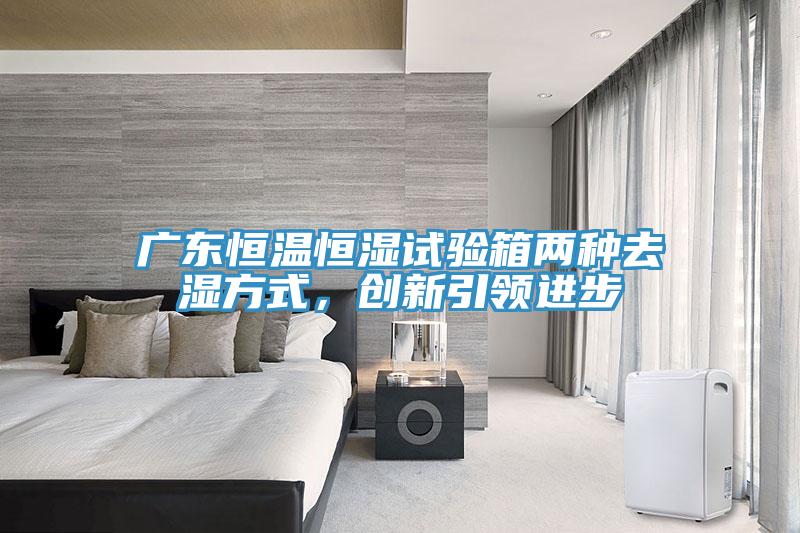 广东恒温恒湿试验箱两种去湿方式，创新引领进步