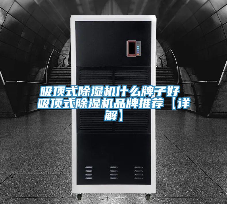 吸顶式粉色应用黄色软件什么牌子好 吸顶式粉色应用黄色软件品牌推荐【详解】