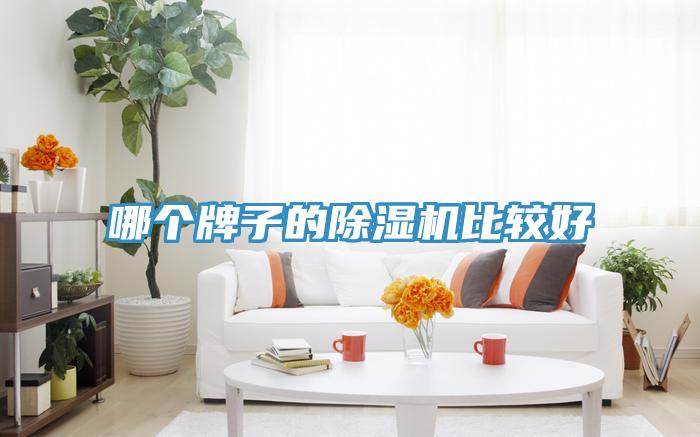 哪个牌子的粉色应用黄色软件比较好