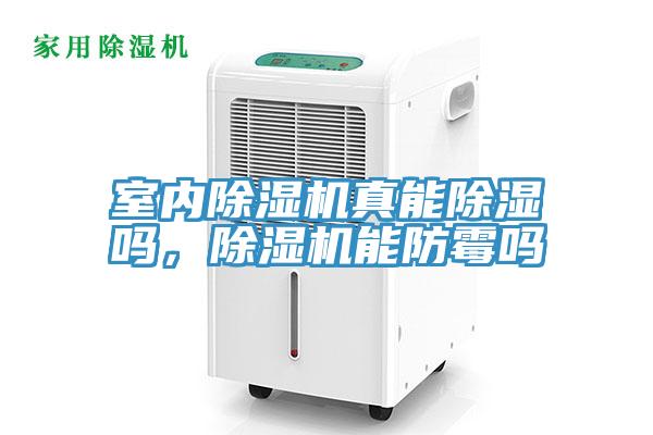 室内粉色应用黄色软件真能除湿吗，粉色应用黄色软件能防霉吗