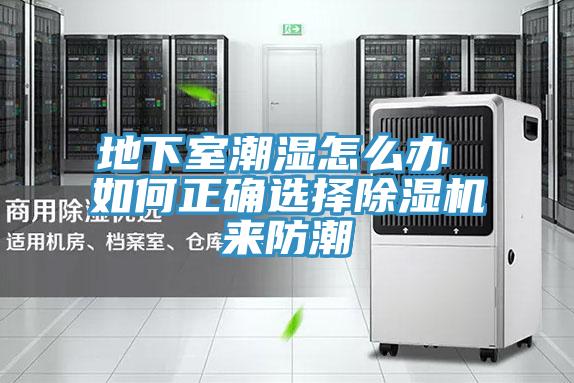 地下室潮湿怎么办 如何正确选择粉色应用黄色软件来防潮