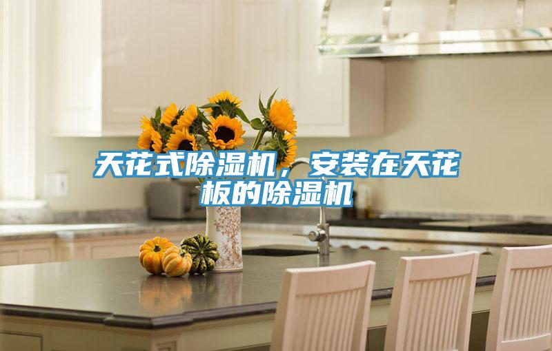 天花式粉色应用黄色软件，安装在天花板的粉色应用黄色软件