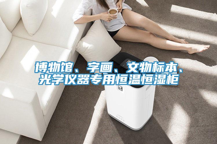 博物馆、字画、文物标本、光学仪器专用恒温恒湿柜