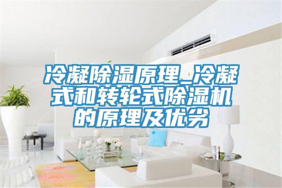 冷凝除湿原理_冷凝式和转轮式粉色应用黄色软件的原理及优劣