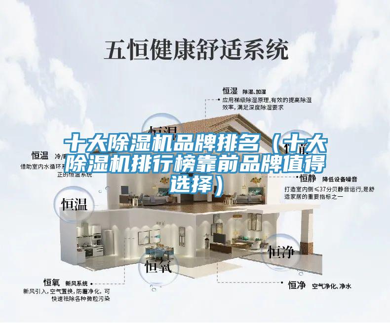 十大粉色应用黄色软件品牌排名（十大粉色应用黄色软件排行榜靠前品牌值得选择）