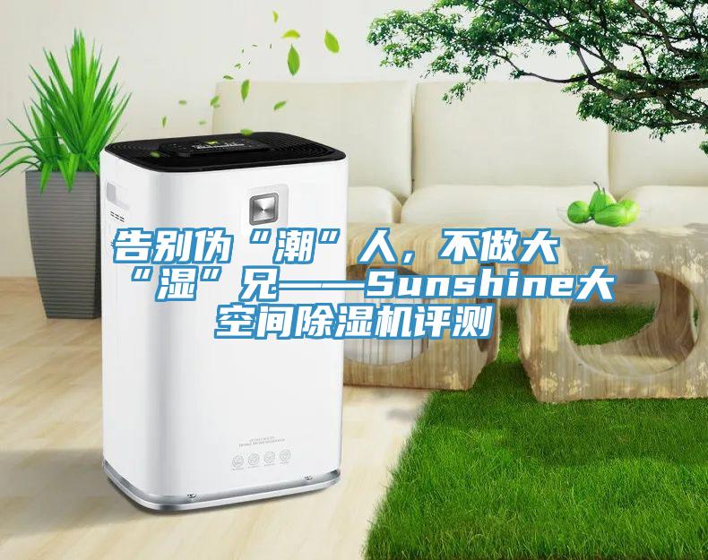 告别伪“潮”人，不做大“湿”兄——Sunshine大空间粉色应用黄色软件评测