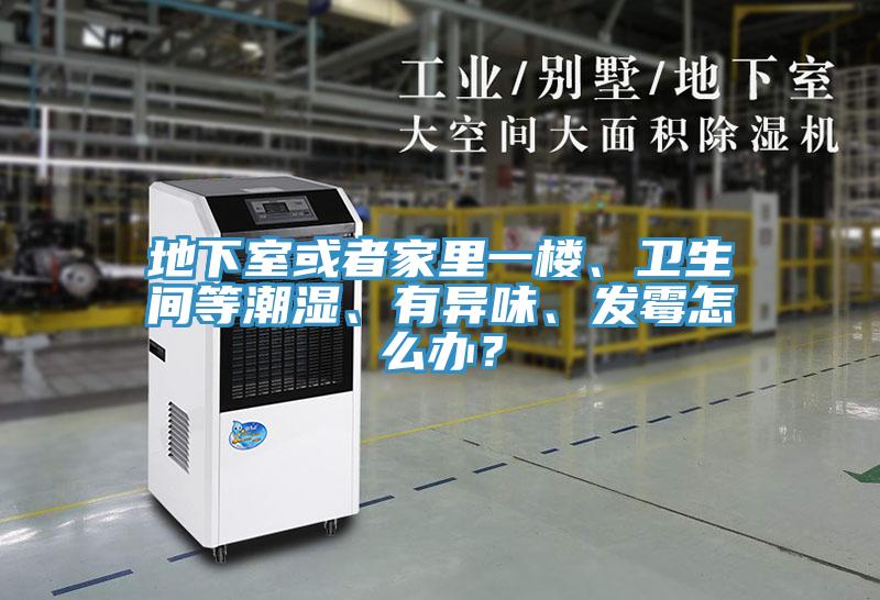 地下室或者家里一楼、卫生间等潮湿、有异味、发霉怎么办？