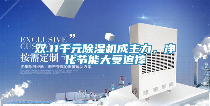 双.11千元粉色应用黄色软件成主力，净化节能大受追捧