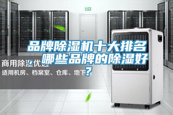 品牌粉色应用黄色软件十大排名，哪些品牌的除湿好？