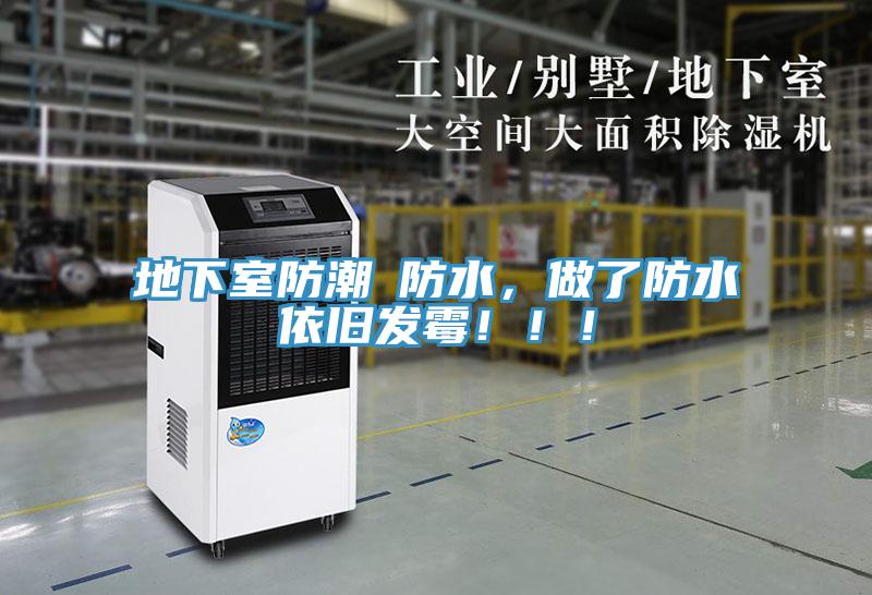 地下室防潮≠防水，做了防水依旧发霉！！！