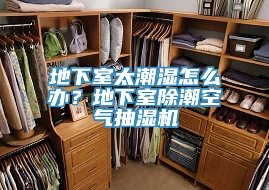 地下室太潮湿怎么办？地下室除潮空气抽湿机