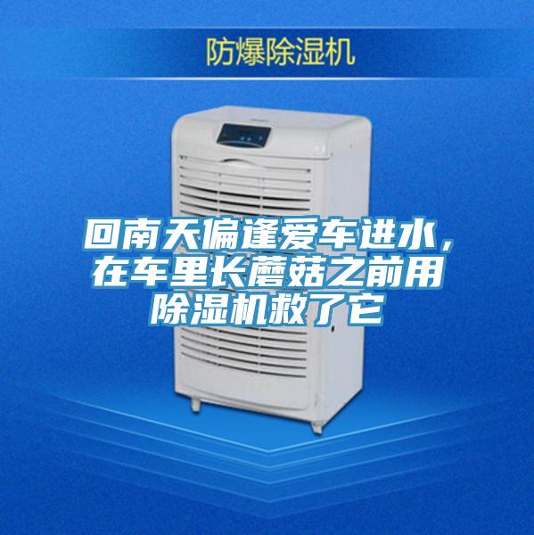 回南天偏逢爱车进水，在车里长蘑菇之前用粉色应用黄色软件救了它