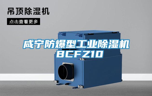 咸宁防爆型工业粉色应用黄色软件 BCFZ10