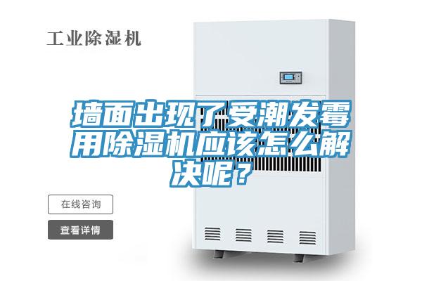 墙面出现了受潮发霉用粉色应用黄色软件应该怎么解决呢？