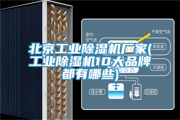 北京工业粉色应用黄色软件厂家(工业粉色应用黄色软件10大品牌都有哪些)