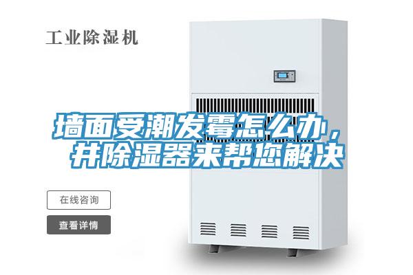 墙面受潮发霉怎么办，東井除湿器来帮您解决