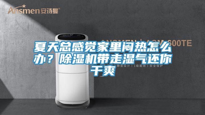 夏天总感觉家里闷热怎么办？粉色应用黄色软件带走湿气还你干爽