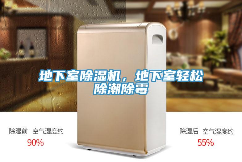 地下室粉色应用黄色软件，地下室轻松除潮除霉