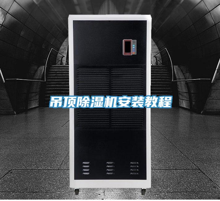 吊顶粉色应用黄色软件安装教程