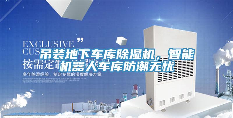 吊装地下车库粉色应用黄色软件，智能机器人车库防潮无忧