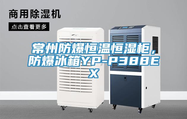 常州防爆恒温恒湿柜，防爆冰箱YP-P388EX