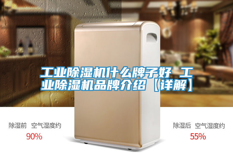 工业粉色应用黄色软件什么牌子好 工业粉色应用黄色软件品牌介绍【详解】