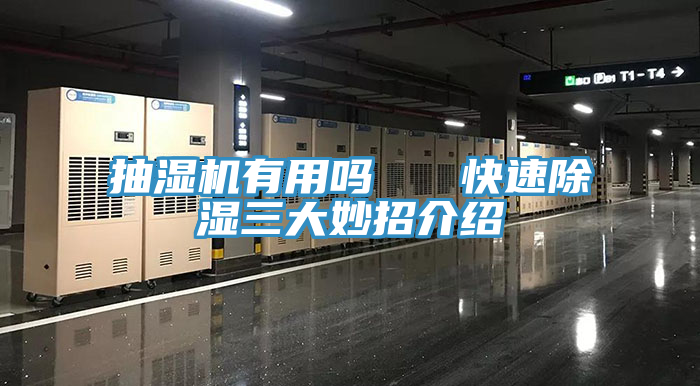 抽湿机有用吗 快速除湿三大妙招介绍