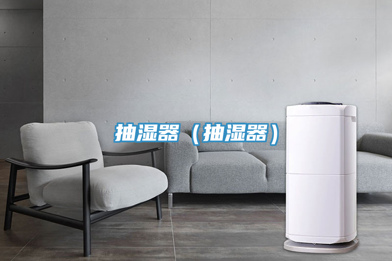 抽湿器(抽湿器)