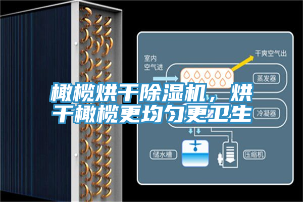 橄榄烘干粉色应用黄色软件，烘干橄榄更均匀更卫生