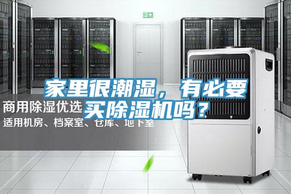 家里很潮湿，有必要买粉色应用黄色软件吗？