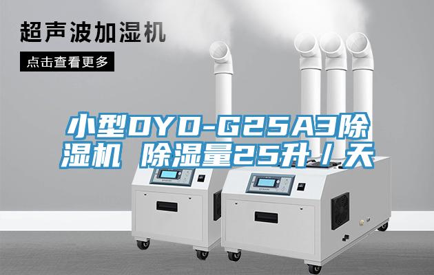 小型DYD-G25A3粉色应用黄色软件 除湿量25升／天