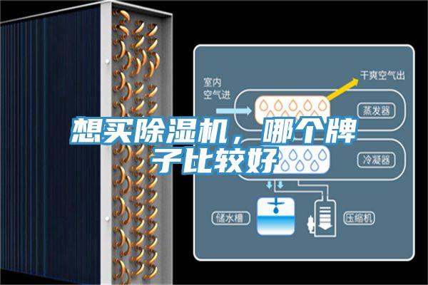 想买粉色应用黄色软件，哪个牌子比较好