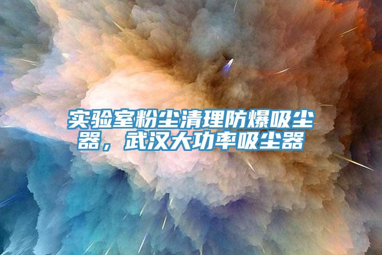 实验室粉尘清理防爆吸尘器，武汉大功率吸尘器