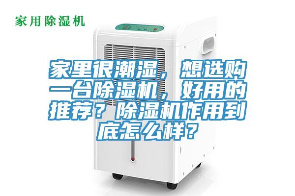 家里很潮湿，想选购一台粉色应用黄色软件，好用的推荐？粉色应用黄色软件作用到底怎么样？