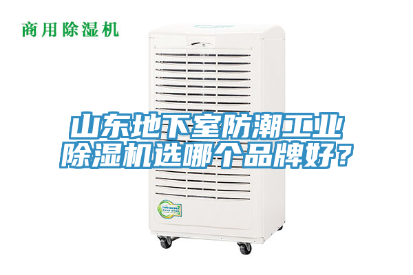 山东地下室防潮工业粉色应用黄色软件选哪个品牌好？