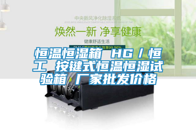 恒温恒湿箱 HG/恒工 按键式恒温恒湿试验箱 厂家批发价格