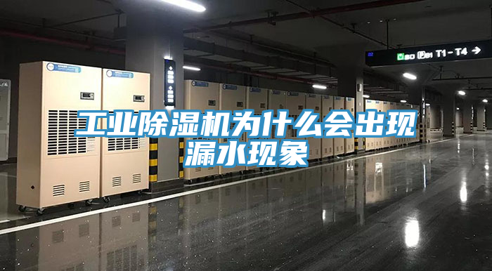 工业粉色应用黄色软件为什么会出现漏水现象