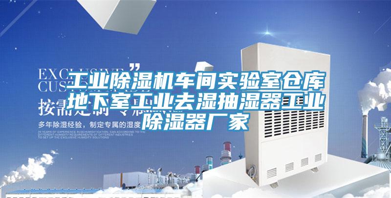 工业粉色应用黄色软件车间实验室仓库地下室工业去湿抽湿器工业除湿器厂家
