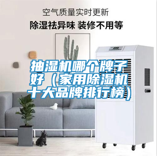 抽湿机哪个牌子好（家用粉色应用黄色软件十大品牌排行榜）