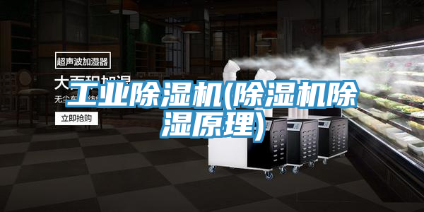 工业粉色应用黄色软件(粉色应用黄色软件除湿原理)