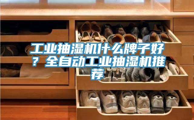 工业抽湿机什么牌子好？全自动工业抽湿机推荐