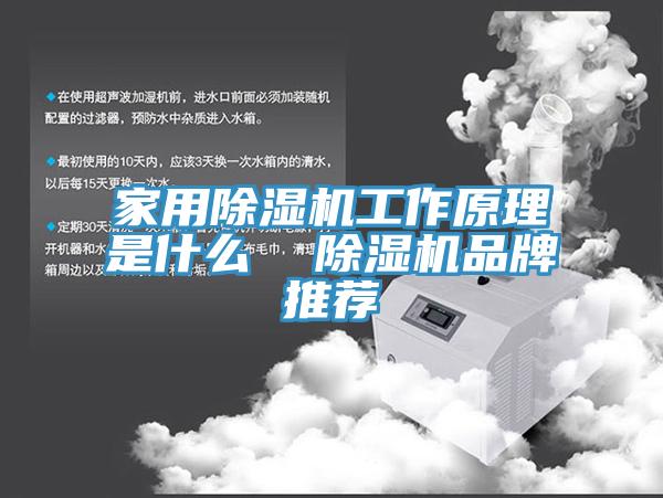 家用粉色应用黄色软件工作原理是什么 粉色应用黄色软件品牌推荐