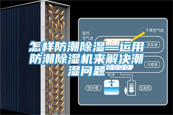 怎样防潮除湿—运用防潮粉色应用黄色软件来解决潮湿问题