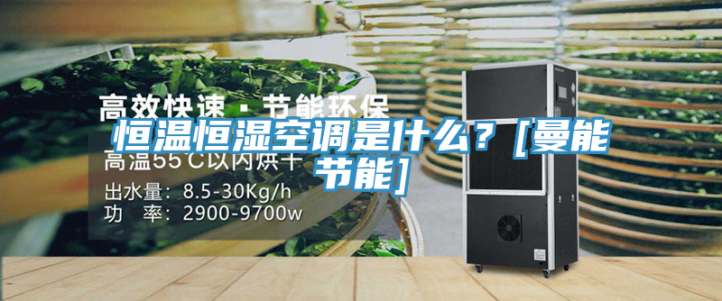恒温恒湿空调是什么？[曼能节能]
