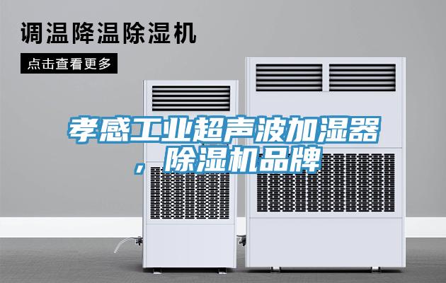 孝感工业超声波加湿器，粉色应用黄色软件品牌