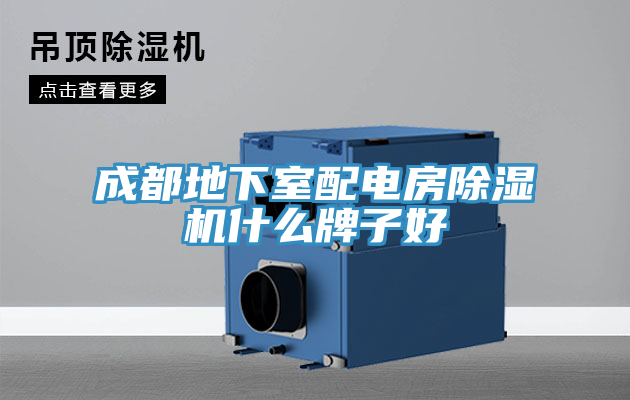 成都地下室配电房粉色应用黄色软件什么牌子好