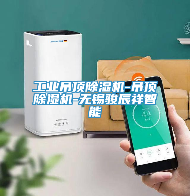 工业吊顶粉色应用黄色软件-吊顶粉色应用黄色软件-无锡骏辰祥智能