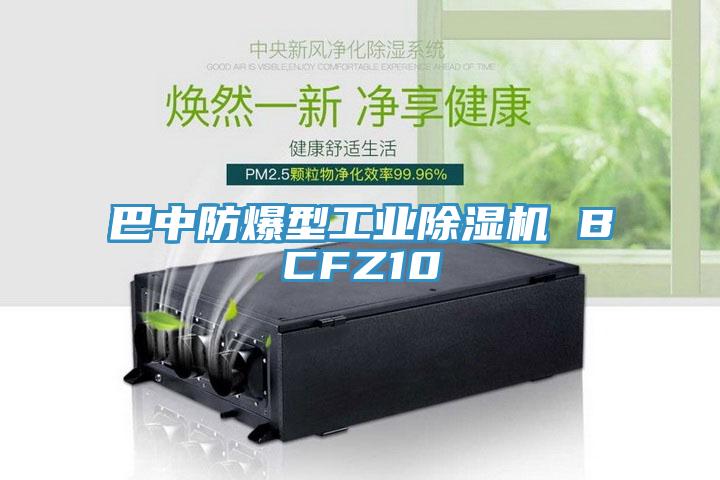 巴中防爆型工业粉色应用黄色软件 BCFZ10