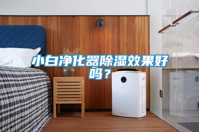 小白净化器除湿效果好吗？